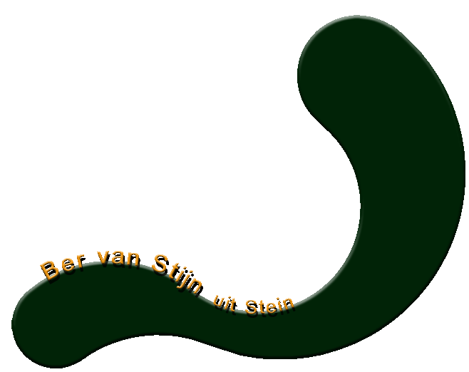 ber van stijn logo